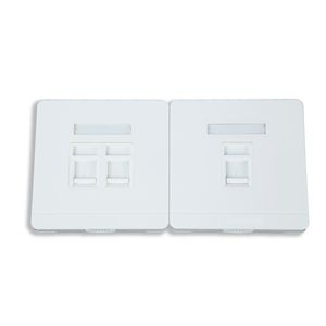 ABS Plastic Surface Faceplate