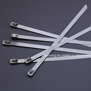 Stainless Steel 12" Cable Tie