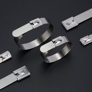 Stainless Steel Cable Tie Metal Ribbon Marine Cable Tie 4.6x500mm