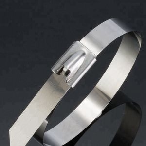 4.6x150 mm Ball Lock Type Self-Locking Stainless Steel 304 316 Cable Ties
