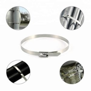 Stainless Steel Cable Tie