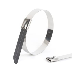 SS304 12 Inch Stainless Steel Cable Ties
