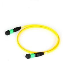 Data Center' S Fiber Optic MTP/MPO Patch Cord
