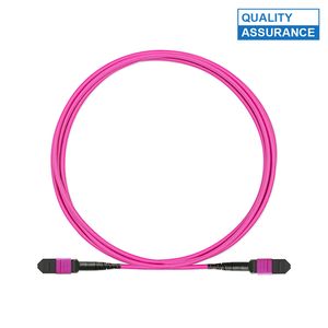 History 12cores SM/MM MPO/MTP Patch Cord/Jumper