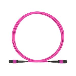 12 Fibers MPO/MTP Fiber Optic Patch Cord For Data Center