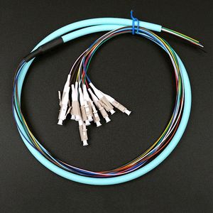12 Core G. 652D Fiber Optic Pigtail
